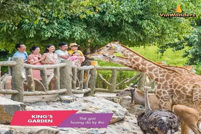 芽莊Vin Wonders主題樂園