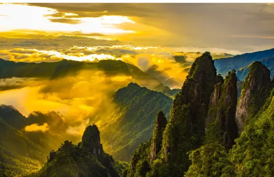 莽山國家森林公園