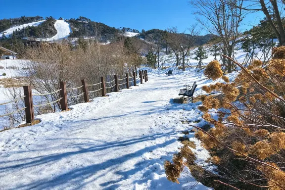 韓國平昌阿爾卑斯滑雪場的雪道與冬日山景