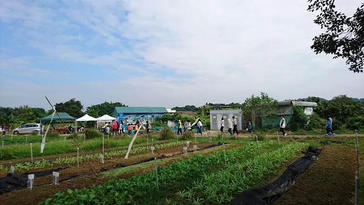 參觀有機農莊，認識大自然的微妙生態。