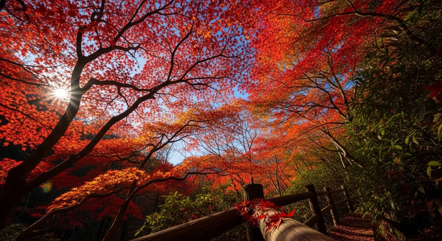 鳴子峽步道視角