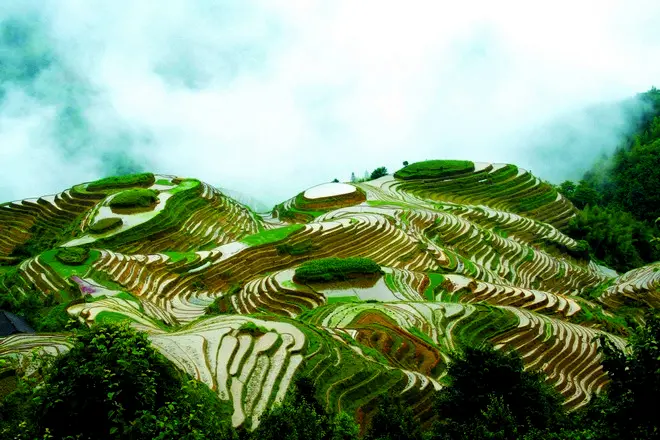龍脊梯田