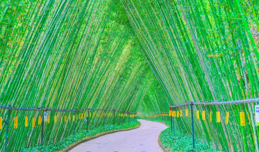 千谷溪森林公園