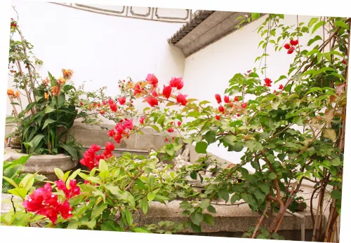 Dali Five Elements Hostel Photos