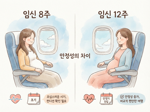 임신부 비행기 비교