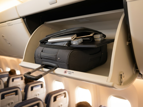 Cabin bag batteries.