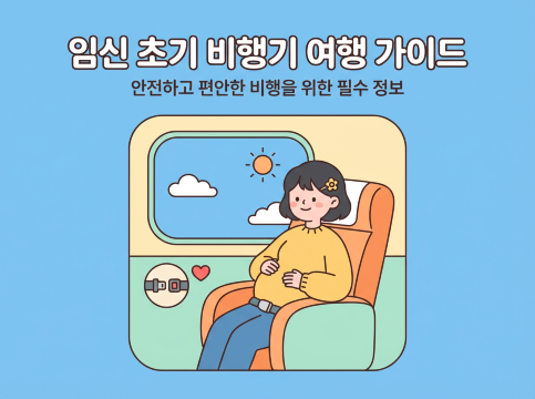 임신 초기 비행기 여행 가이드