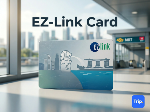 EZ-Link Card Guide: Travel Around Singapore Easily | Trip.com
