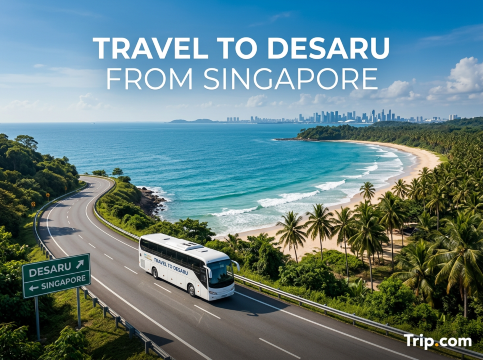 Singapore to Desaru Travel Guide : Best Ways, Time & Tips | Trip.com