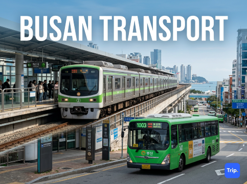 Busan Transport Guide 2026: How to Get Around Easily | Trip.com