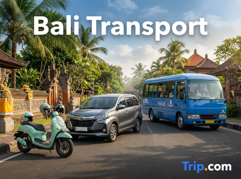 Bali Transport Guide: Getting Around in Bali Smartly | Trip.com