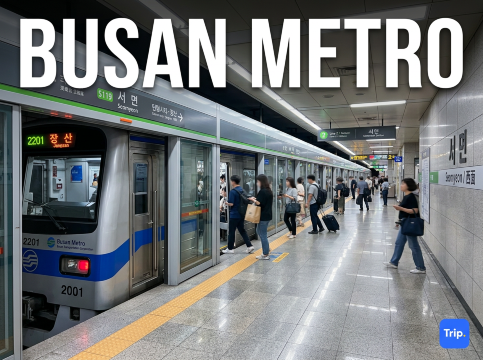 Busan Metro Guide for Tourists: Lines, Tickets & Operating Hours | Trip.com