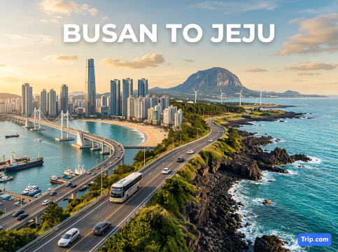 How to Travel from Busan to Jeju: Flight, Ferry & Cost Guide | Trip.com