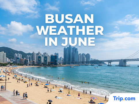 Busan Weather in June: Temperature, Rain & What to Pack | Trip.com