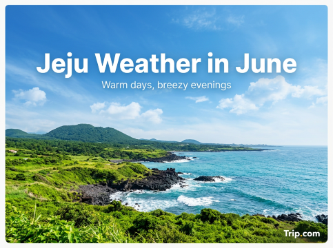 Jeju Weather in June: Temperature, Rain & Travel Tips | Trip.com