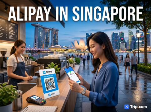Tips for Using Alipay in Singapore Simple Guide for Smooth Payments | Trip.com