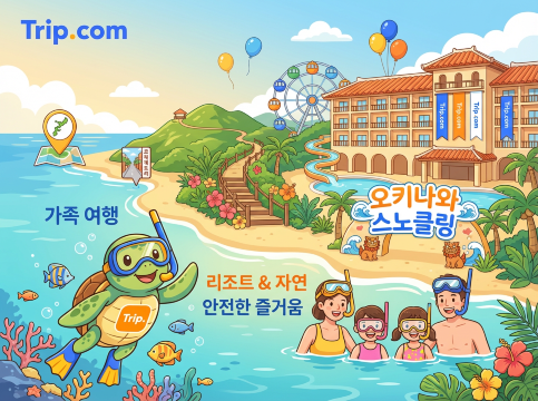 오키나와 스노클링 투어