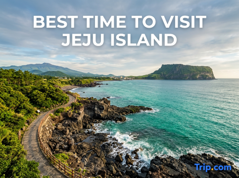 Best Time to Visit Jeju Island: Perfect Season, Weather & Tips | Trip.com
