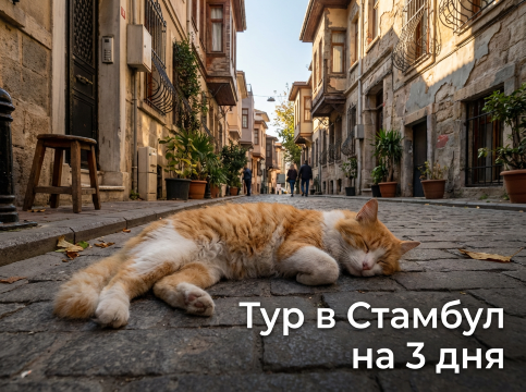 Тур в Стамбул на 3 дня 2026: Европа, Азия и котики | Trip.com