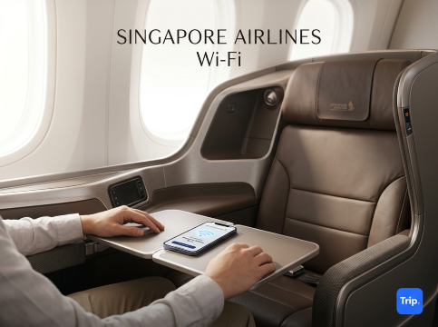 Singapore Airlines In-Flight WiFi: Everything You Need to Know | Trip.com