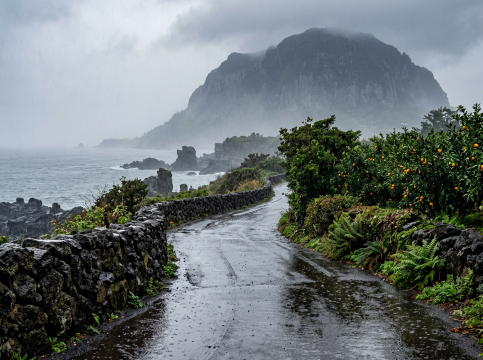 Jeju Rainy Day