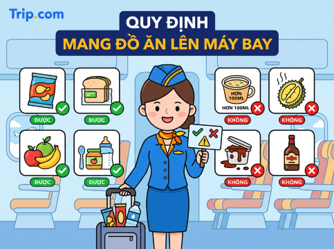 Có được mang đồ ăn lên máy bay không? Quy định & Mẹo mới nhất  | Trip.com