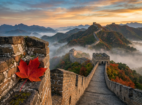 Pre-Trip Pro Tips to Avoid Alipay Issues