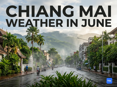 Chiang Mai Weather in June: Temperature, Activities & Travel Tips | Trip.com