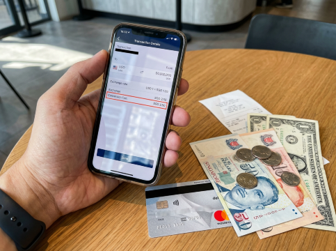 Conversion Fee Visual