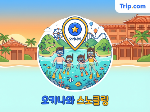 오키나와 스노클링