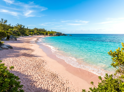 Pro Tips to Avoid Form Errors & Entry Delays to Bermuda