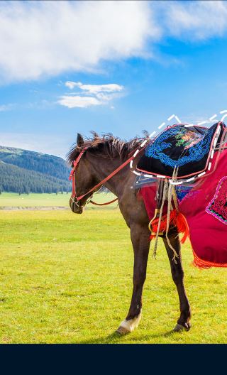 5D4N • Inner Mongolia + Hohhot + Huitengxile Grassland + Whistling Dune Bay + The Mausoleum of Genghis Khan