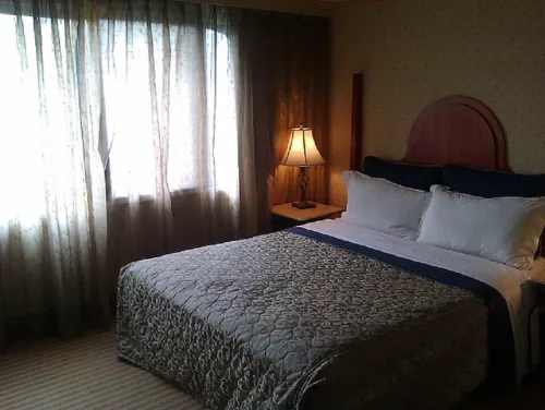 The Moon Hotel Photos