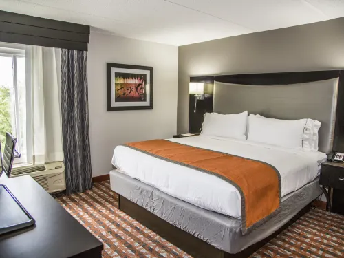 Holiday Inn Express & Suites Nashville Southeast - Antioch Chambres Photos
