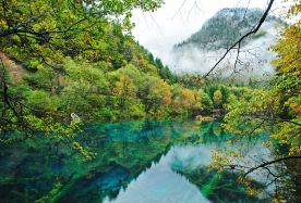 6-day 5-night · Group Tours · Chengdu + Jiuzhaigou National Park + Huanglong National Scenic Area + Chengdu Research Base of Giant Panda Breeding + Mounigou Scenic Area · Explore the natural beauty of Wetland Park and visit cute panda. A serene oasis filled with diverse flora and fauna, providing a perfect backdrop for relaxation.