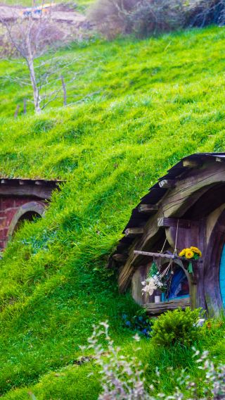 2D1N • New Zealand North Island - Auckland - Rotorua
