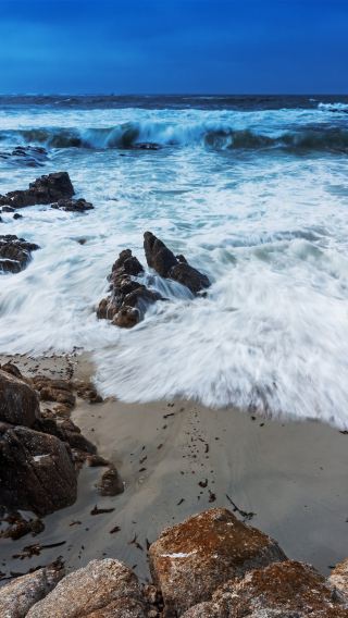 3D2N • San Francisco + Yosemite National Park + 17 Mile Dr