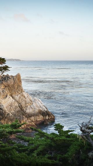 4D3N • San Francisco + 17 Mile Dr + Yosemite National Park