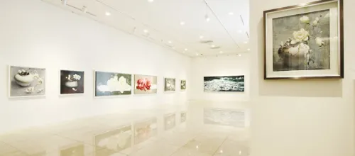 Sejong Hotel Seoul Myeongdong Общественные зоны Photos