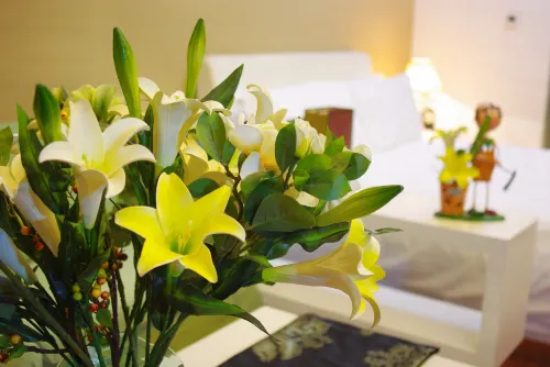 Sweetome Holiday Apartment (Chengdu Kuanzhai Xiangzi Lixun Lingzhu) Photos