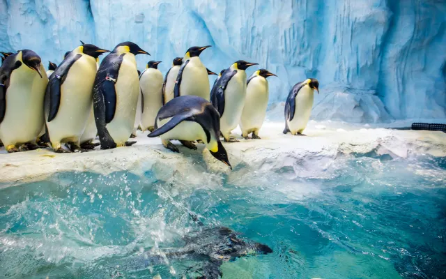 【香港去珠海】2025珠海高鐵攻略，最快1小時到達，票價、購票方式全解析