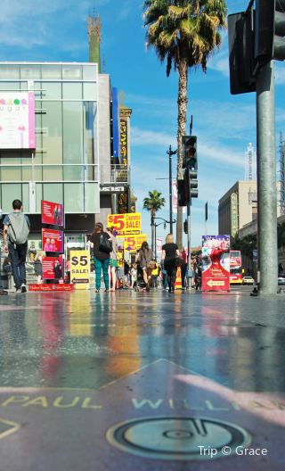 4D3N • Los Angeles