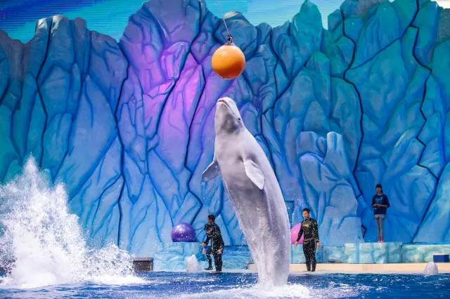 【香港去珠海】2025珠海高鐵攻略，最快1小時到達，票價、購票方式全解析