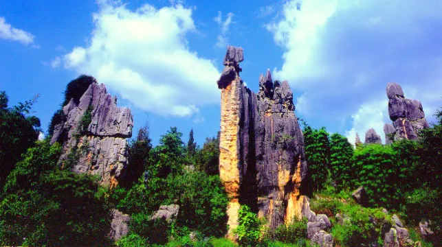 Stone Forest Scenic Area