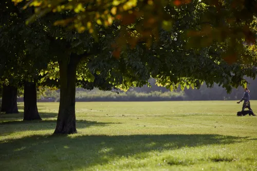 Mandarin Oriental Hyde Park, London Da non perdere Photos